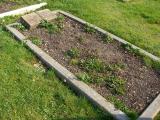 image of grave number 172721